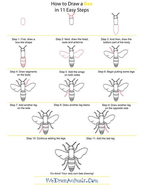 How To Draw A Bee Step By Step