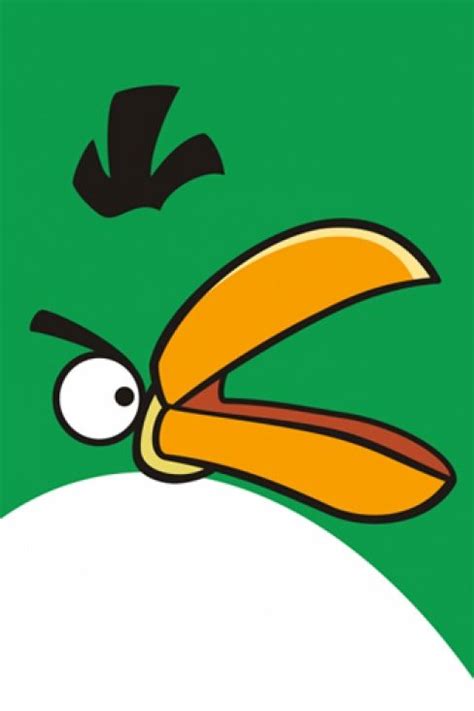 Green Angry Bird Angry Birds Green Angry Bird Bird Wallpaper