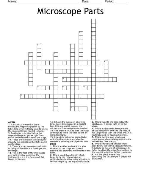 Microscope Parts And Functions Crossword Wordmint