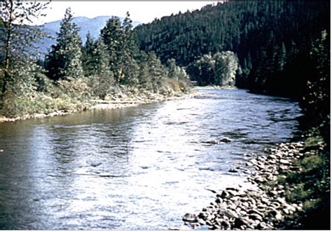 Filemoyie River Us Idpng Wikimedia Commons