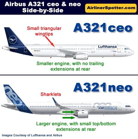 Airbus A321 Spotting Guide Tips For Airplane Spotters Photographs