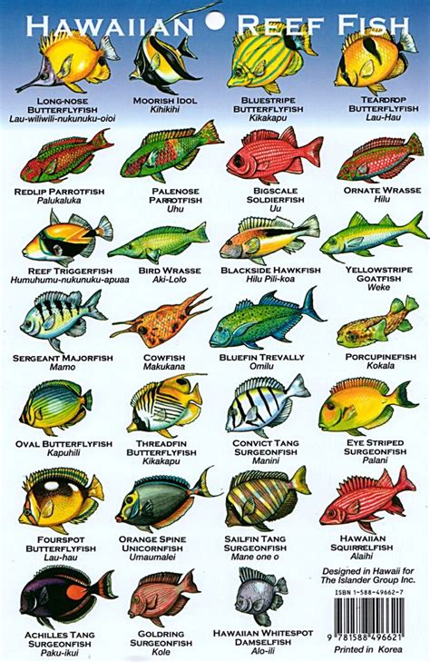 Hawaii Reef Fish Chart The Crazy Thing Is That These Illustrations Don