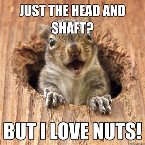 Can I Bust A Nut In Your Hole Glory Hole Squirrel Quickmeme