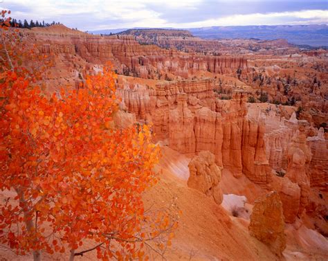 Sunset Point Bryce Canyon National Park Photo Credit Utah Office Of