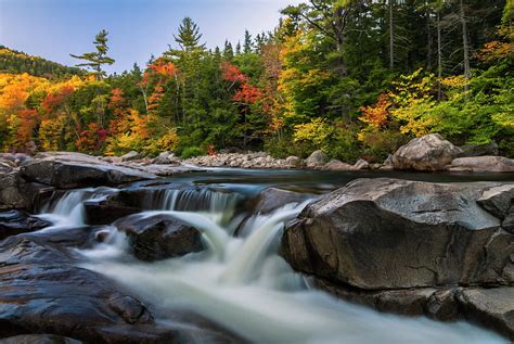 Fall Foliage Along Swift River In White Mountains New