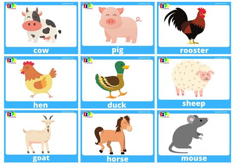 Farm Animals Flashcards With Words Includes Pig Cow Chicken Horse