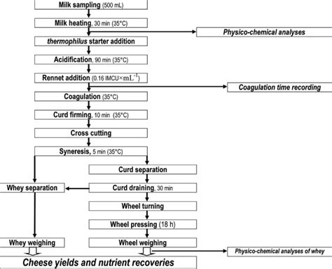 Cheese Making Process Flowchart