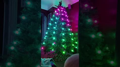 My Tree With Geek My Tree Lights Youtube