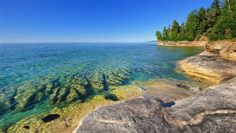 Michigan Nut Photography Beaver Basin Wilderness Exploring Pictured