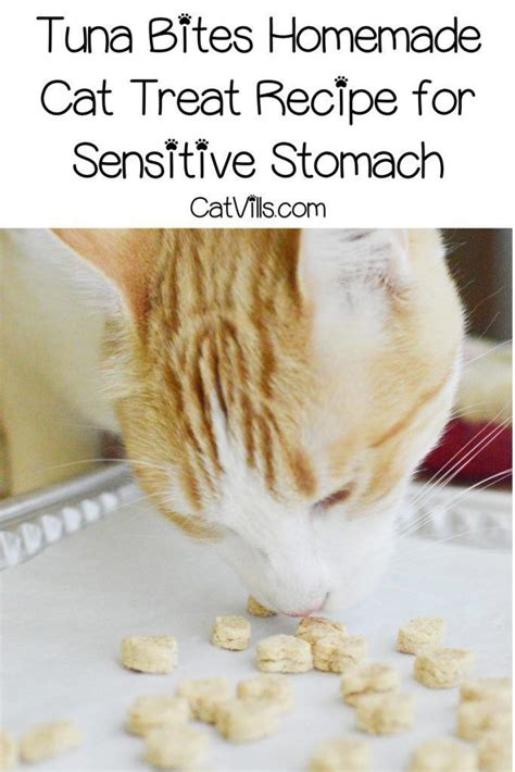 Homemade Tuna Cat Treats A Tuna Bites Recipe For Your Kitty Cat Treats Homemade Cat Treat