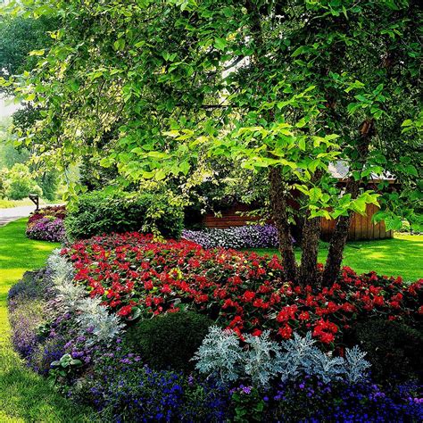 The birches in this garden above (there are more out of shot) are underplanted with the drought and shade tolerant brunnera 'jack frost'. Shade Garden Plans Better Homes Gardens with Shady ...