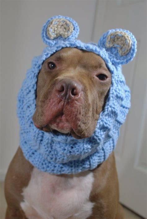 Crochet Dog Snood Blue Bear Made To Order Etsy Canada Dog Snood