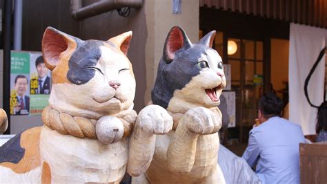 Cat Nation New Documentary Explores Japanese Cat Culture Life With Cats