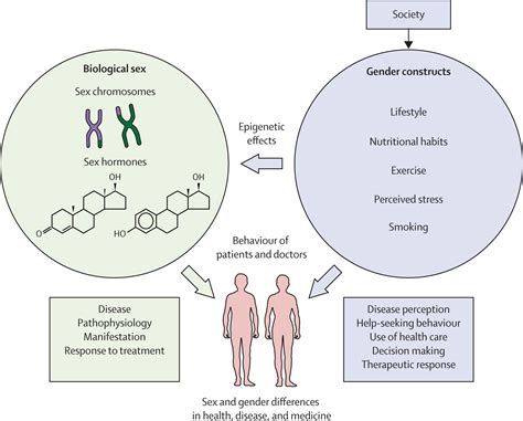 Sex And Gender Modifiers Of Health Disease And Medicine The Lancet Free Download Nude Photo