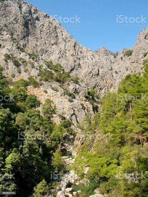 Trees On The Cliffs Of The Canyon Goynuk In Turkey Stock Photo