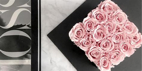 A bloom itself will only last one evening, she says, but a plant may produce multiple flowers that bloom over. Live Flowers That Last All Year And Don't Require Watering ...
