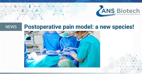 The Incisional Pain Model Now Available In Mice Ans Biotech