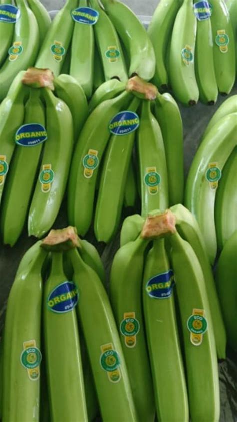Organic Banana Fairtrade America