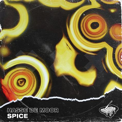 spice single by hasse de moor spotify
