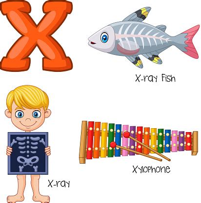 To find out what x squared plus x squared equals, you have to multiply x times itself, then add that number to itself. X Alphabet Stock Illustration - Download Image Now - iStock