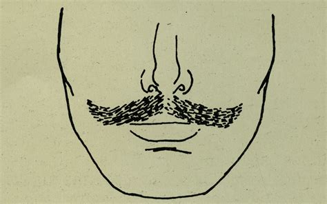 What Does Facial Hair Say About Your Sex Life Filthy