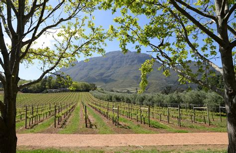Cape Town And Franschhoek Best Itinerary Ideas Kimkim