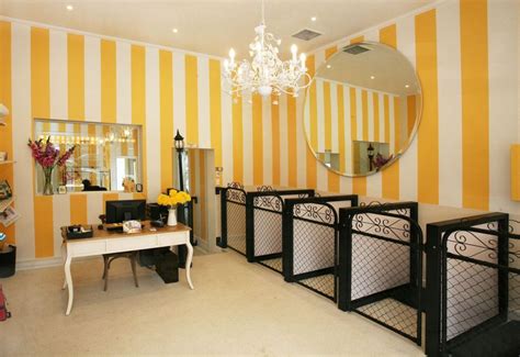 Perfect Living Space For Pets11 Dog Grooming Salons Dog Grooming