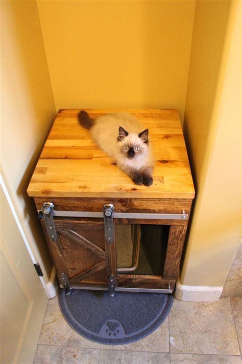 Cat Litter Box Enclosure With Sliding Barn Door In Modern Farmhouse