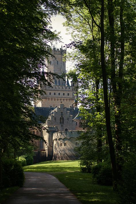 Castle In The Forest Daydreaming Photo 41538983 Fanpop