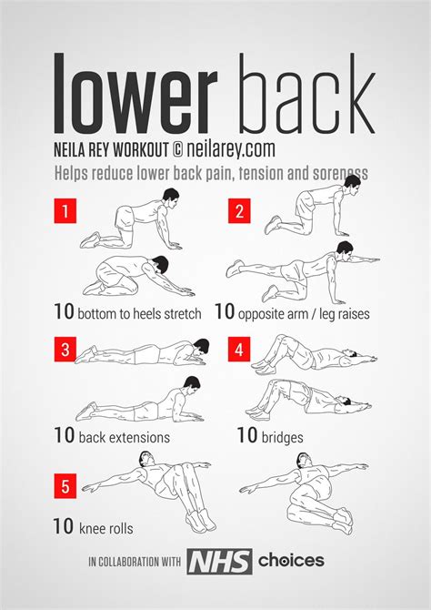 5 Day Lower Back Workout No Equipment For Beginner Fitness And