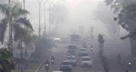 Agar anak dapat mencocok gambar dengan baik. Kebakaran Hutan, Sejumlah Wilayah Inhu Diselimuti Kabut ...
