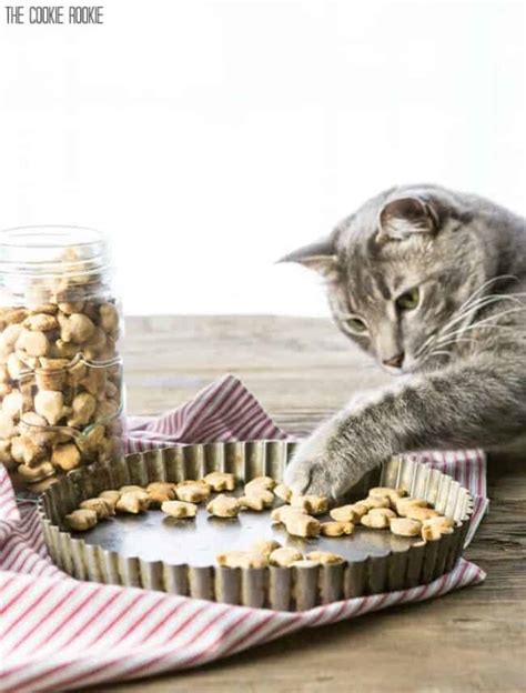 Homemade Cat Treats Recipe 3 Ingredient Salmon Cat Treats