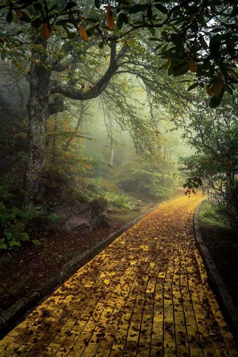 Photos Show Remnants Of Creepy Abandoned Wizard Of Oz Theme Park In