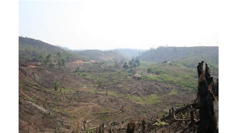 La Deforestation A Madagascar Route De Lakoto Sur Geofr