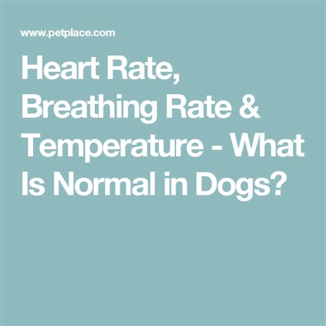 Respiratory rate is one of the main vital signs that measure a person's health. Heart Rate, Breathing Rate & Temperature - What Is Normal in Dogs? | Heart rate, Dog heart rate ...