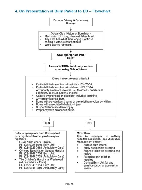 2014 Burn Patient Management Clinical Practice Guidelines Pdf