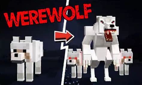 Werewolf Mod For Minecraft Pe Download