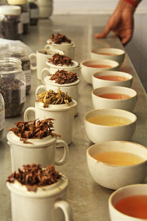 Herbal Tea Tasting Challenge Yaso Shan