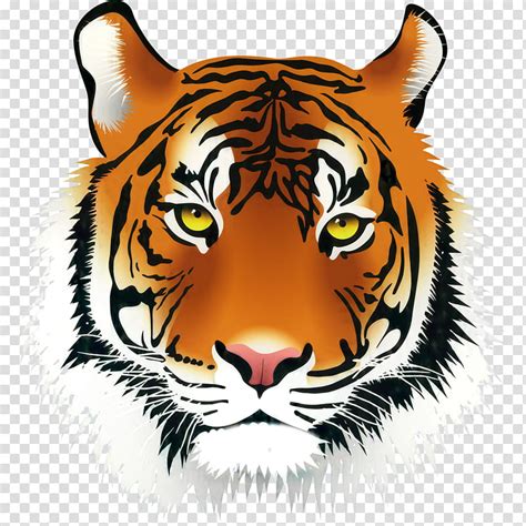 Bengal Tiger Sumatran Tiger Clip Art PNG 800x800px Bengal Tiger