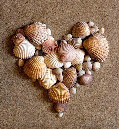 Shell Heart Shell Art Sea Crafts Seashell Crafts
