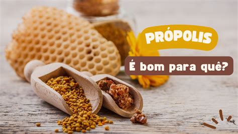 A Propolis é Um Produto Natural