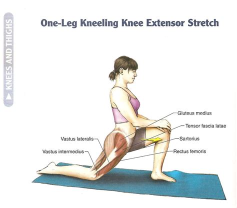 Release Hip Flexor Vs Exercises To Strengthen The Hip Flexor Muscles