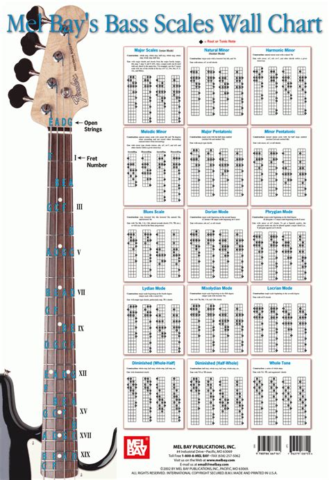 Bass Guitar Scales Major And Minor Scales Fuelrocks