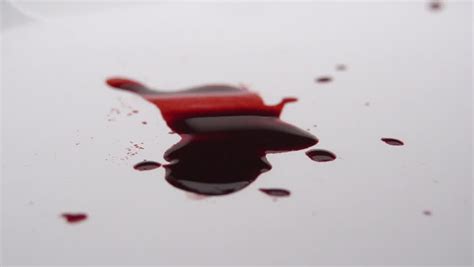 Check spelling or type a new query. Blood On The Floor — Steemkr