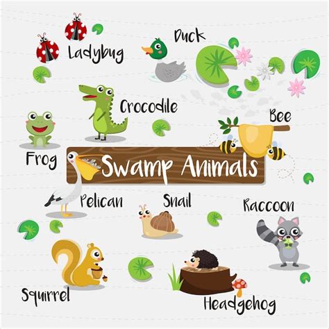 Premium Vector Swamp Animals Cartoon With Animal Name