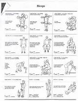 Workouts Chest And Biceps Images