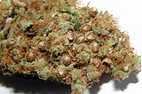 Images of Best Marijuana Seeds