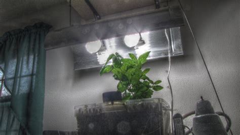 Www.420magazine.com.visit this site for details: Cheap DIY CFL Grow Light - Instructables