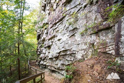 Cloudland Canyon Waterfalls Trail