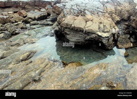Tide Pools At Crystal Cove State Park Stock Photo Alamy